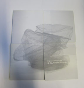 Si peu reconnaissable, Ghislaine Vappereau, maison de la culture, Amiens, 2004