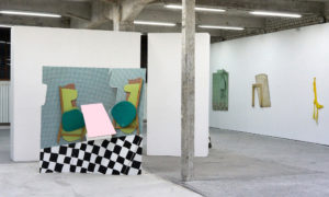 Exposition Signes domestiques, Ghislaine Vappereau, L'H du Siège, Valenciennes, 2020